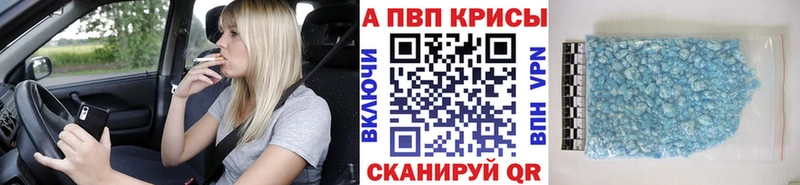 закладка  Ленинградская  A PVP крисы CK 