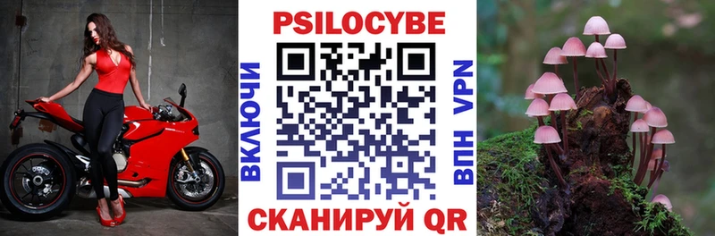 Галлюциногенные грибы мухоморы  купить закладку  Ленинградская 